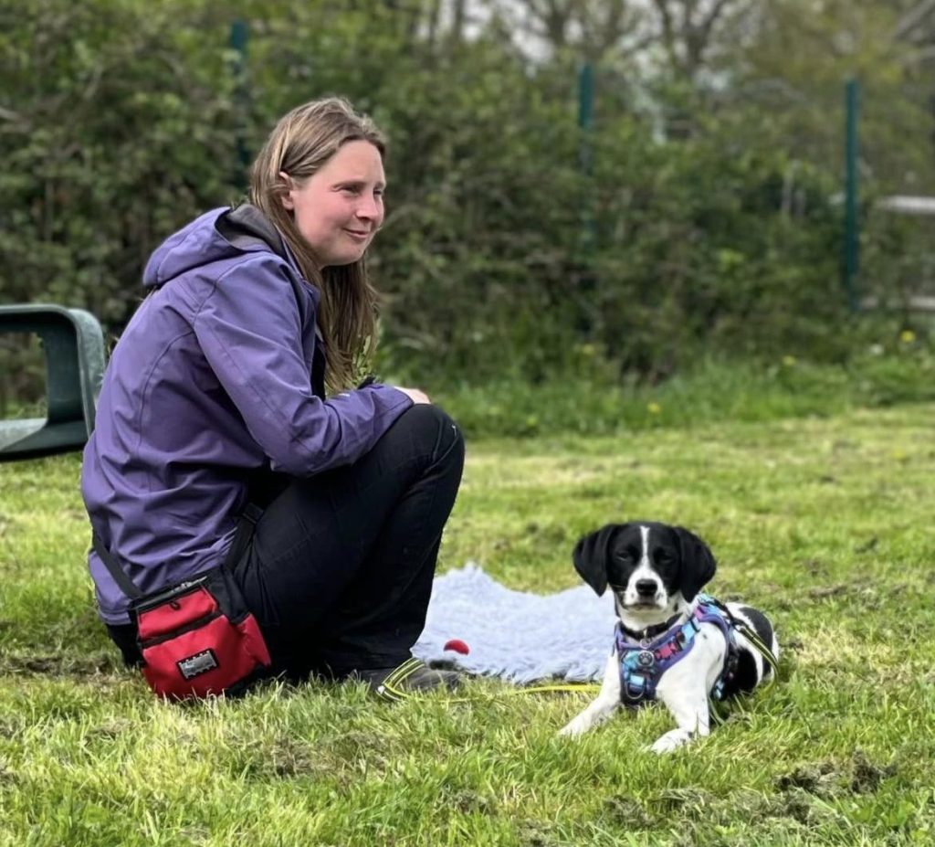 Qualified dog trainer in Taunton, Somerset