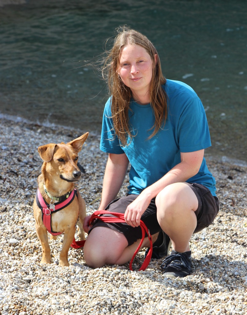 Qualified Dog Trainer and Behaviour Technician in Taunton, Somerset