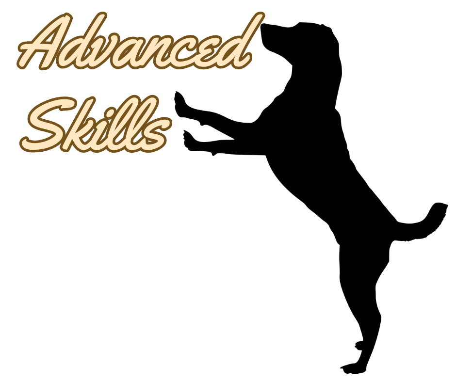 Advanced skills course logo
