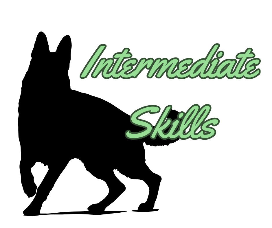 Intermediate skills course logo