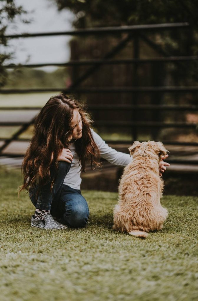 Child strokes a dog in Taunton, Somerset