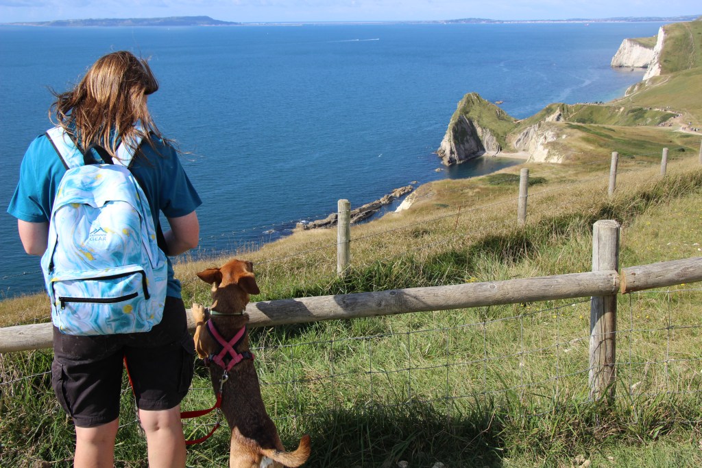 Qualified Dog Trainer admires a sea view with their dog in Somerset