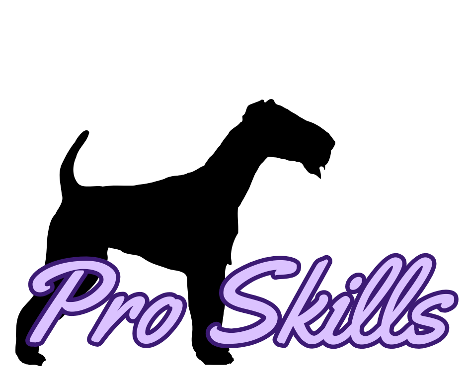 Pro skills course logo